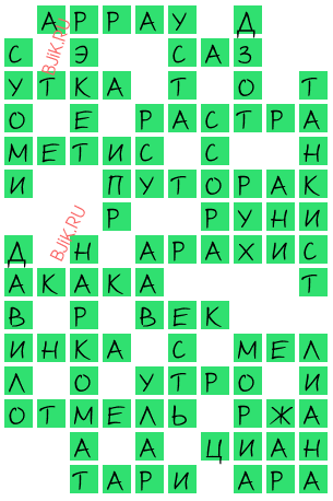 сканворд 20236