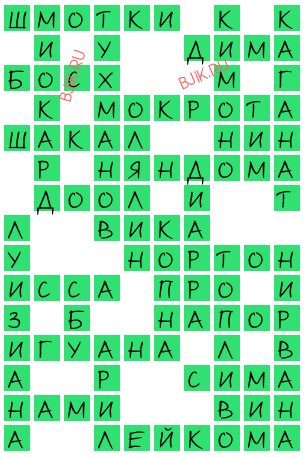 сканворд 20246