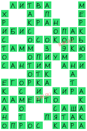 сканворд 20264