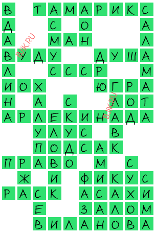 сканворд 20273
