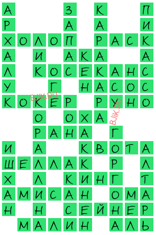 сканворд 20335