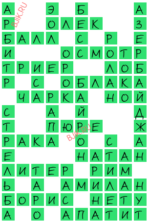 сканворд 20344