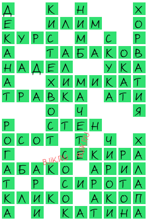 сканворд 20346