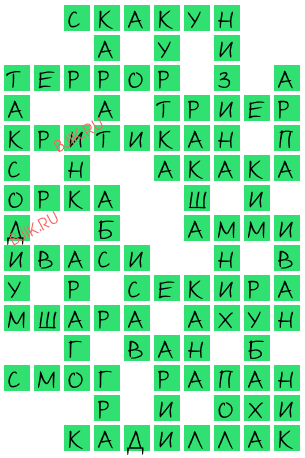 сканворд 20377