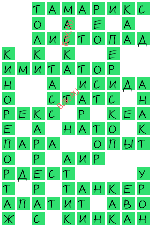 сканворд 20502