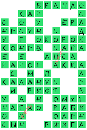 сканворд 20546