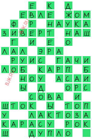 сканворд 20571