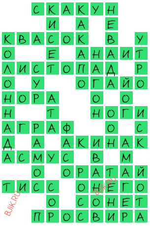 сканворд 20706
