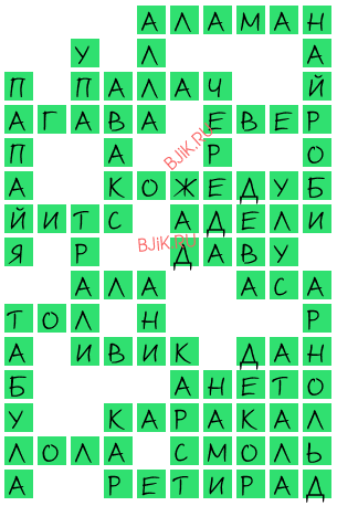 сканворд 21052