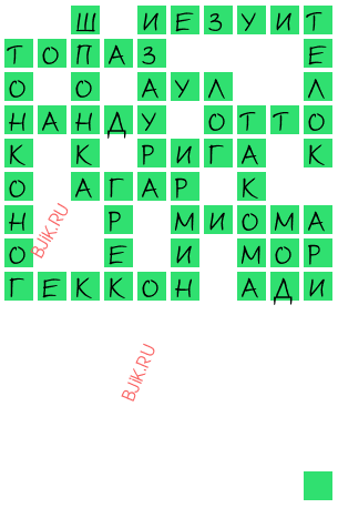 сканворд 22362