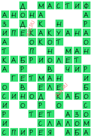 сканворд 22558